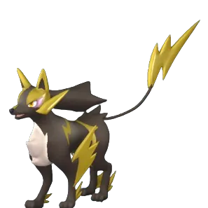 Rayhound